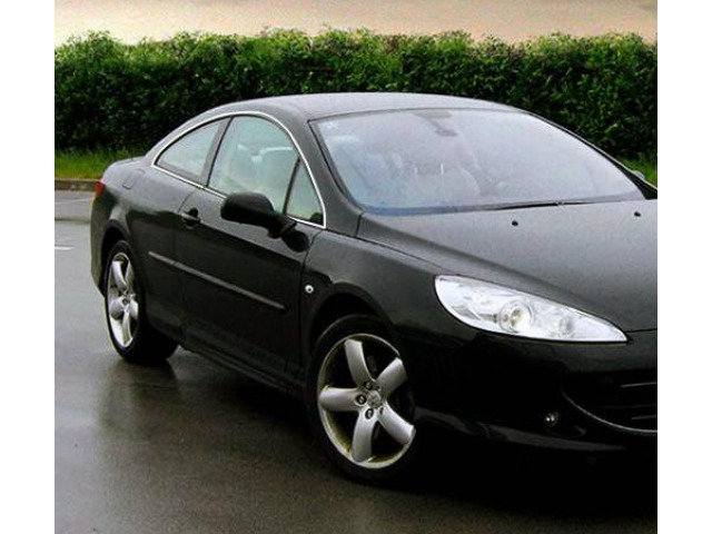 Baguette chromée de contour des vitres latérales pour Peugeot 407