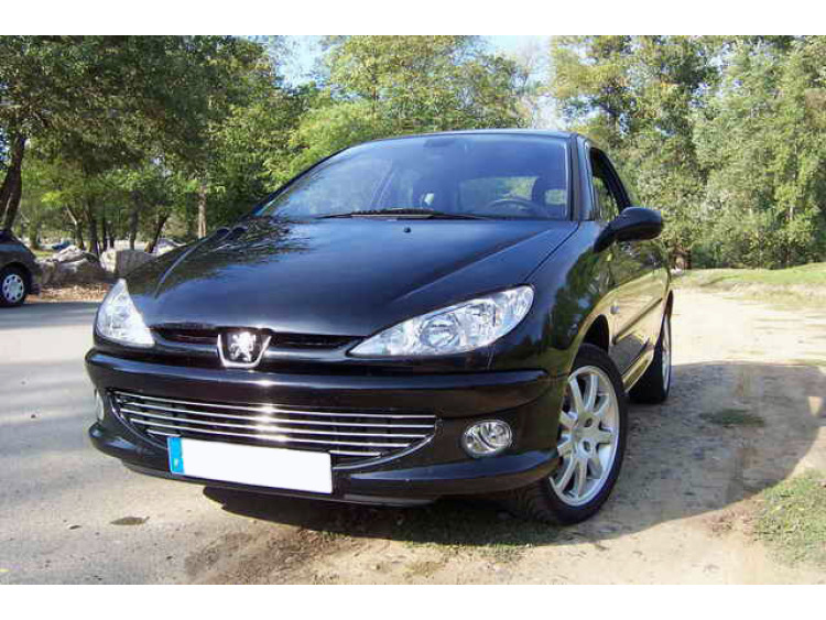Baguette de calandre chrom&eacute;e compatible avec Peugeot 206 Peugeot 206 CC Peugeot 206 SW