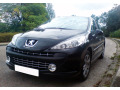 Baguette de calandre chrom&eacute;e compatible avec Peugeot 207 06-12 Peugeot 207 CC 07-15 Peugeot 207 SW 07-13