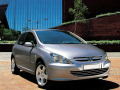 Baguette de calandre chrom&eacute;e compatible avec Peugeot 307 01-05 Peugeot 307 CC 01-05 Peugeot 307 SW 01-05
