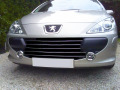 Baguette de calandre chrom&eacute;e compatible avec Peugeot 307 05-09 Peugeot 307 CC 05-09 Peugeot 307 SW 05-09