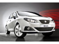 Baguette de calandre chrom&eacute;e compatible avec Seat Ibiza 08-17 & Seat Ibiza ST