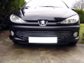 Baguette de calandre chrom&eacute;e pour Peugeot 206 Peugeot 206 CC Peugeot 206 SW