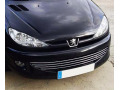 Baguette de calandre chrom&eacute;e pour Peugeot 206 Peugeot 206 CC Peugeot 206 SW