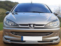 Baguette de calandre chrom&eacute;e pour Peugeot 206 Peugeot 206 CC Peugeot 206 SW