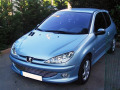 Baguette de calandre chrom&eacute;e pour Peugeot 206 Peugeot 206 CC Peugeot 206 SW